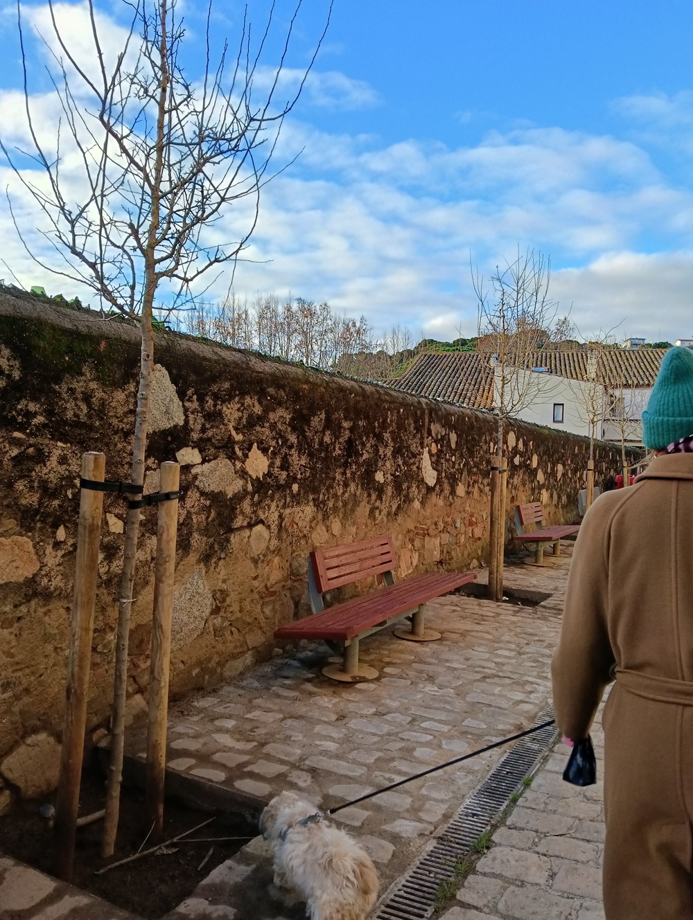 Carrer comas Carrer comas