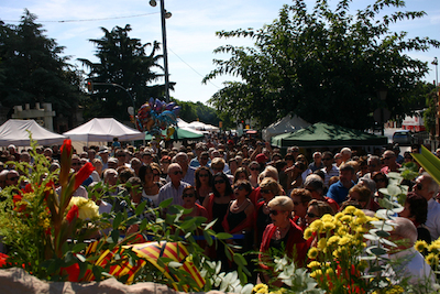 Ofrena floral Diada de l'Onze de Setembre 2010