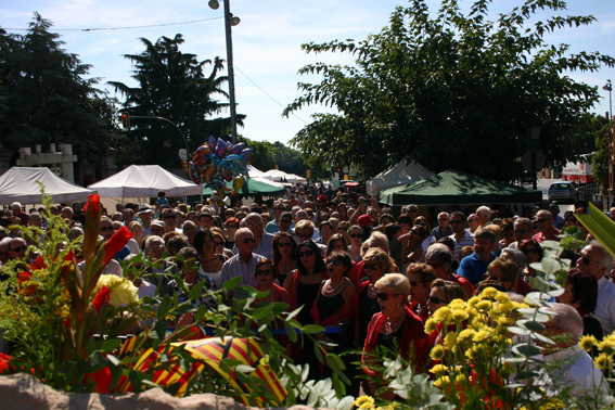 Ofrena floral Diada de l'Onze de Setembre 2010