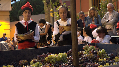Inauguració 44a Festa de la Verema. Autor: Fran Salazar