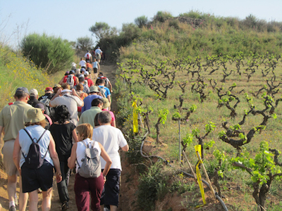 VI Caminada dels Tres Pobles
