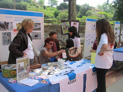 Trobada de les Entitats i el Voluntariat 2011