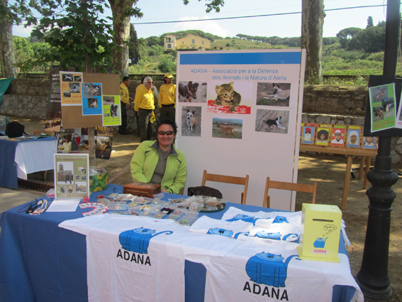 Trobada de les Entitats i el Voluntariat 2011