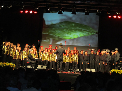Concert Polif�nica Joia d'Alella al parc de Can Sors. 9 de juliol de 2011
