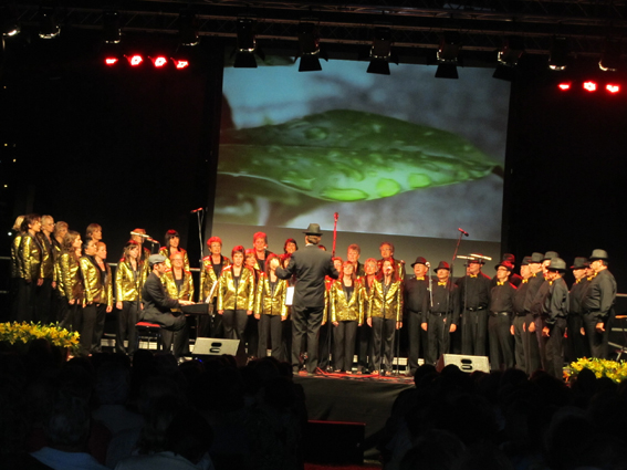 Concert Polif�nica Joia d'Alella al parc de Can Sors. 9 de juliol de 2011
