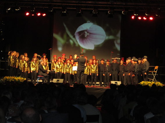 Concert Polif�nica Joia d'Alella al parc de Can Sors. 9 de juliol de 2011