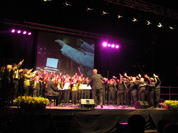 Concert Polif�nica Joia d'Alella al parc de Can Sors. 9 de juliol de 2011