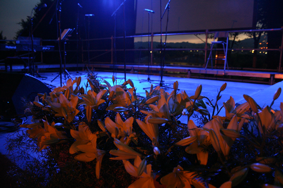 Concert Polif�nica Joia d'Alella al parc de Can Sors. 9 de juliol de 2011