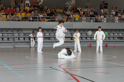 Fi de curs 2010-2011 de l'EIEM
