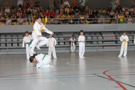 Fi de curs 2010-2011 de l'EIEM