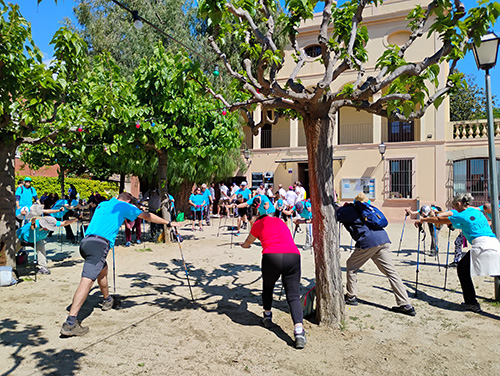 16a Festa de la Gent Gran d'Alella - Foto 51600534