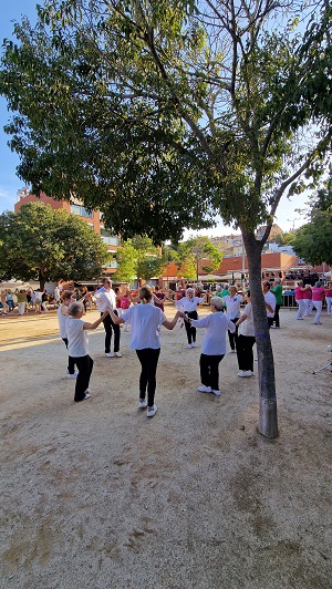 50a Festa de la Verema