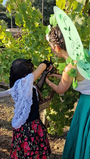 50a Festa de la Verema