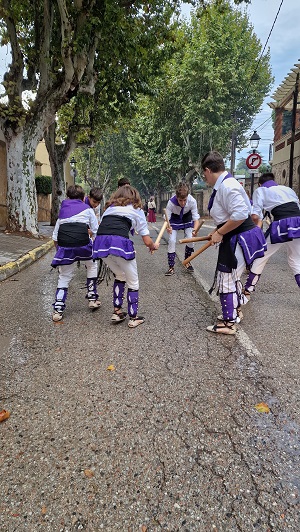 50a Festa de la Verema