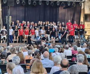 Festa Major de Sant Feliu 2026 - Foto 71960975