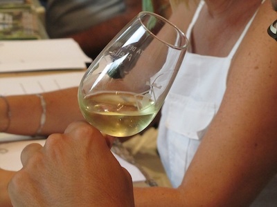 Presentaci� de vins