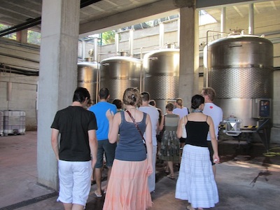 Visites als cellers