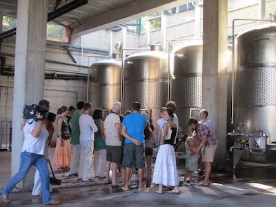 Visites als cellers