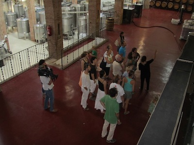 Visites als cellers