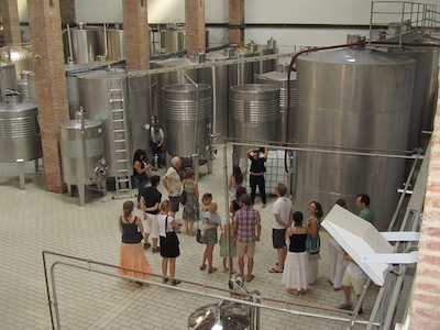 Visites als cellers
