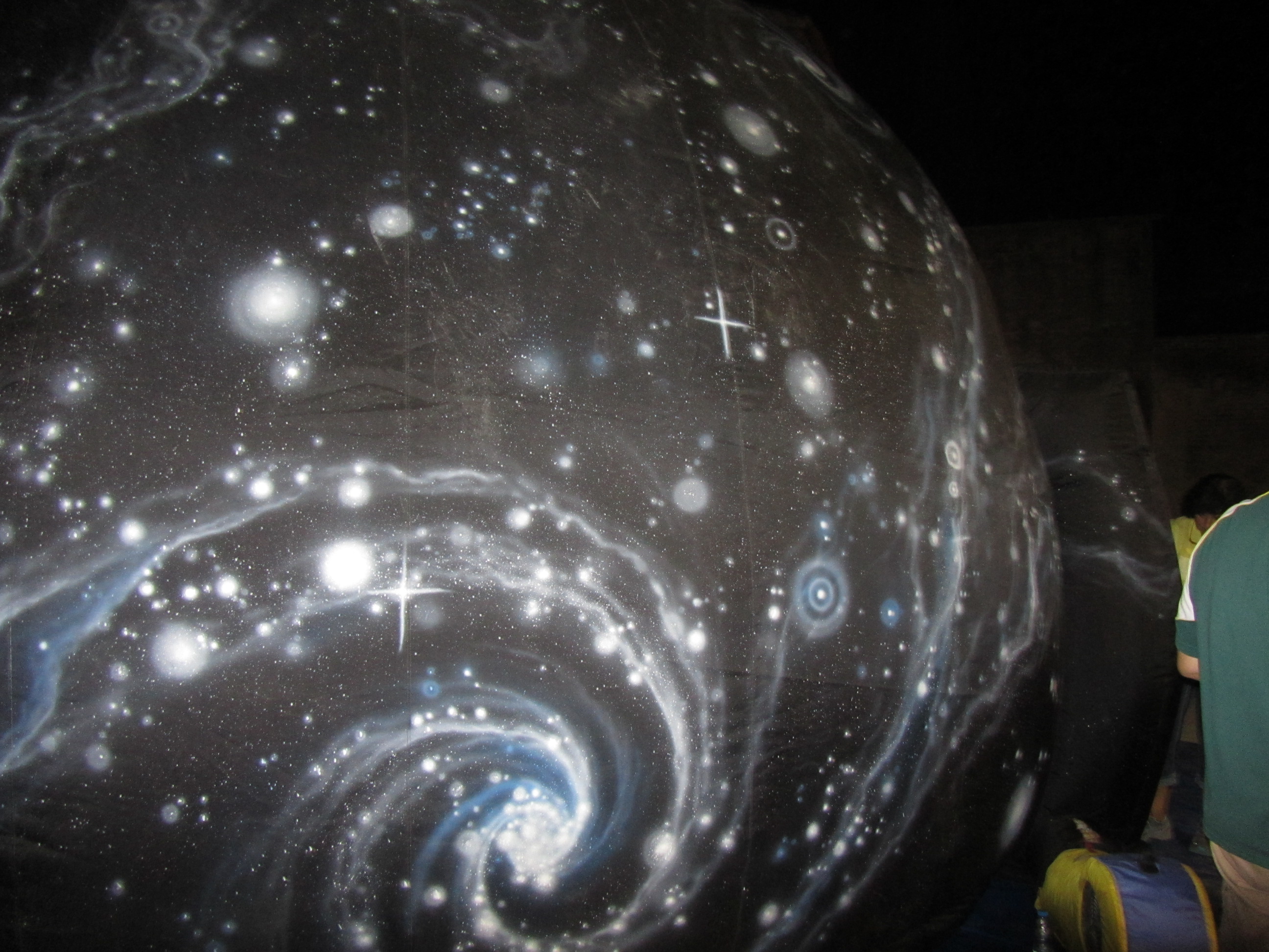 Festa Verema 2014