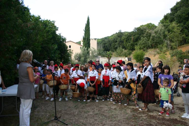 XXXVI Festa de la Verema (2010)