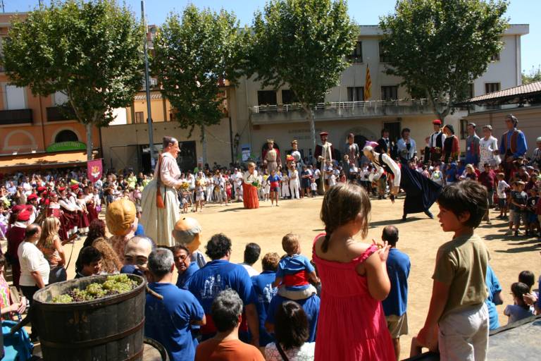 XXXVI Festa de la Verema (2010)