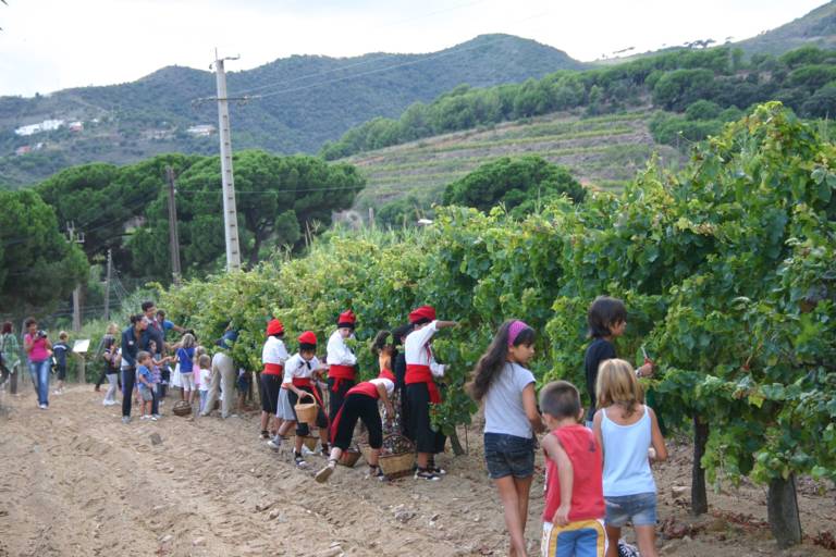 XXXVI Festa de la Verema (2010)