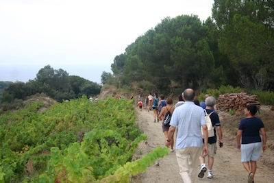 Caminada popular