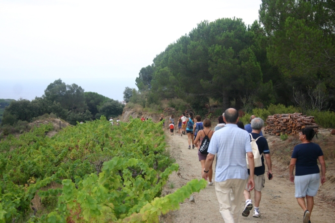 Caminada popular