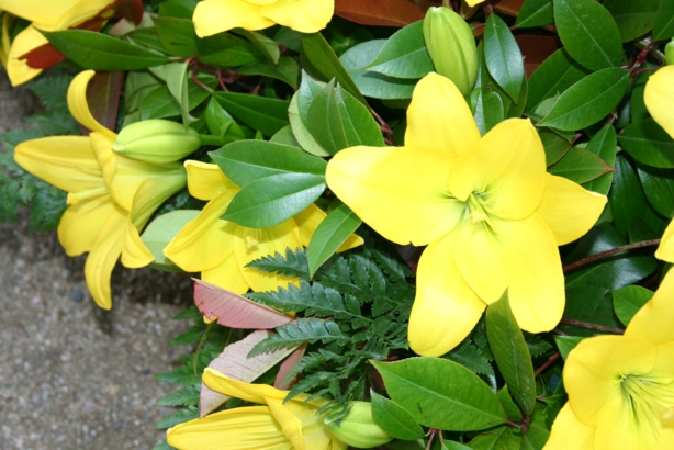 Gospel Viu! al Passeig dels Jardins del Cal Marqu�s