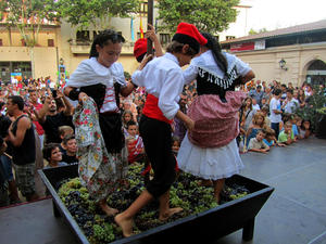 Trepitjada de ra&iuml;m