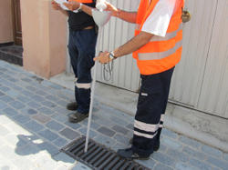Tractament contra el mosquit tigre