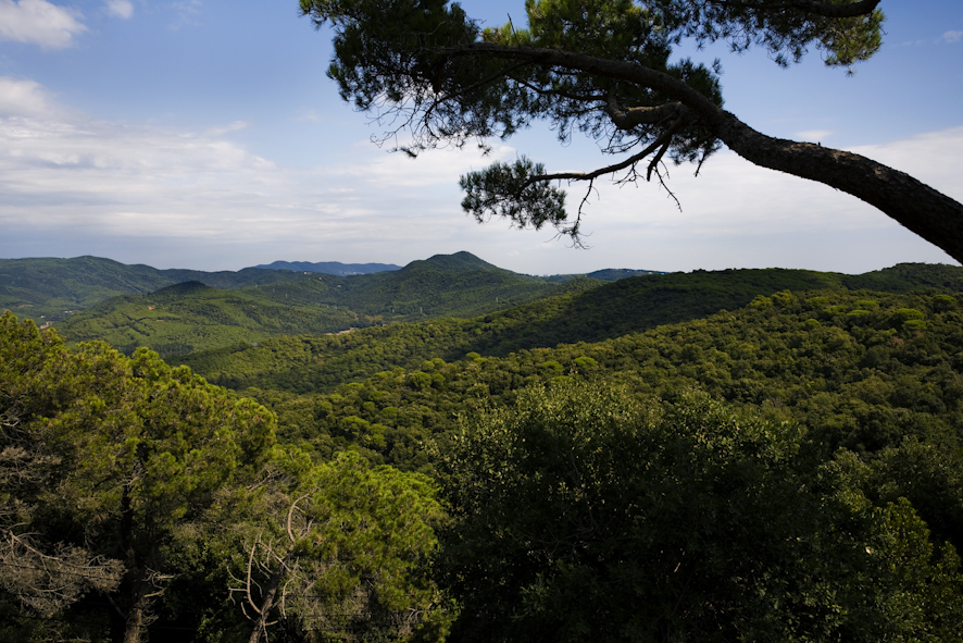 Parc Serralada Litoral