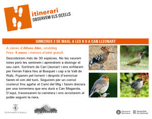Itinerari Observem els ocells