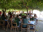 Paellada Jove. Verema