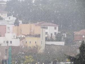 nevadafebrer