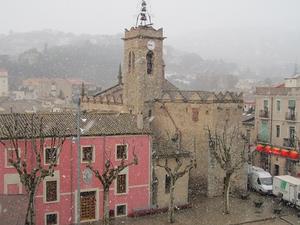 nevadafebrer