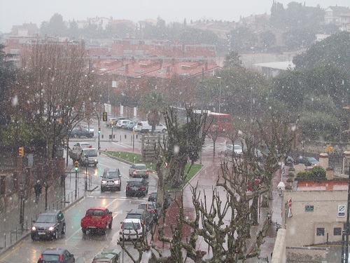 nevadafebrer nevadafebrer