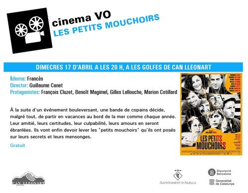 Cinema "Les petits mouchoirs"