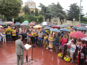 Diada 2013