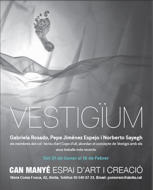 Vestig&iuml;um