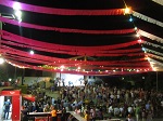 Nit musical