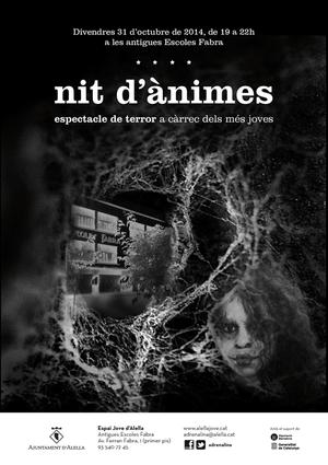 Nit d'&agrave;nimes
