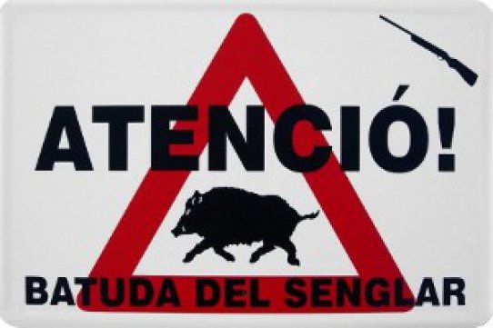 La Societat de Caçadors té previst fer una batuda de porc senglar el 16 de gener