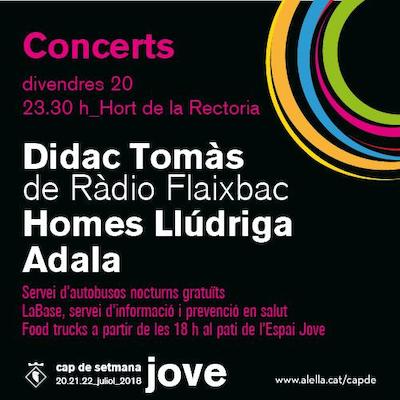 D&iacute;dac Tom&agrave;s, Homes Ll&uacute;driga i Adala