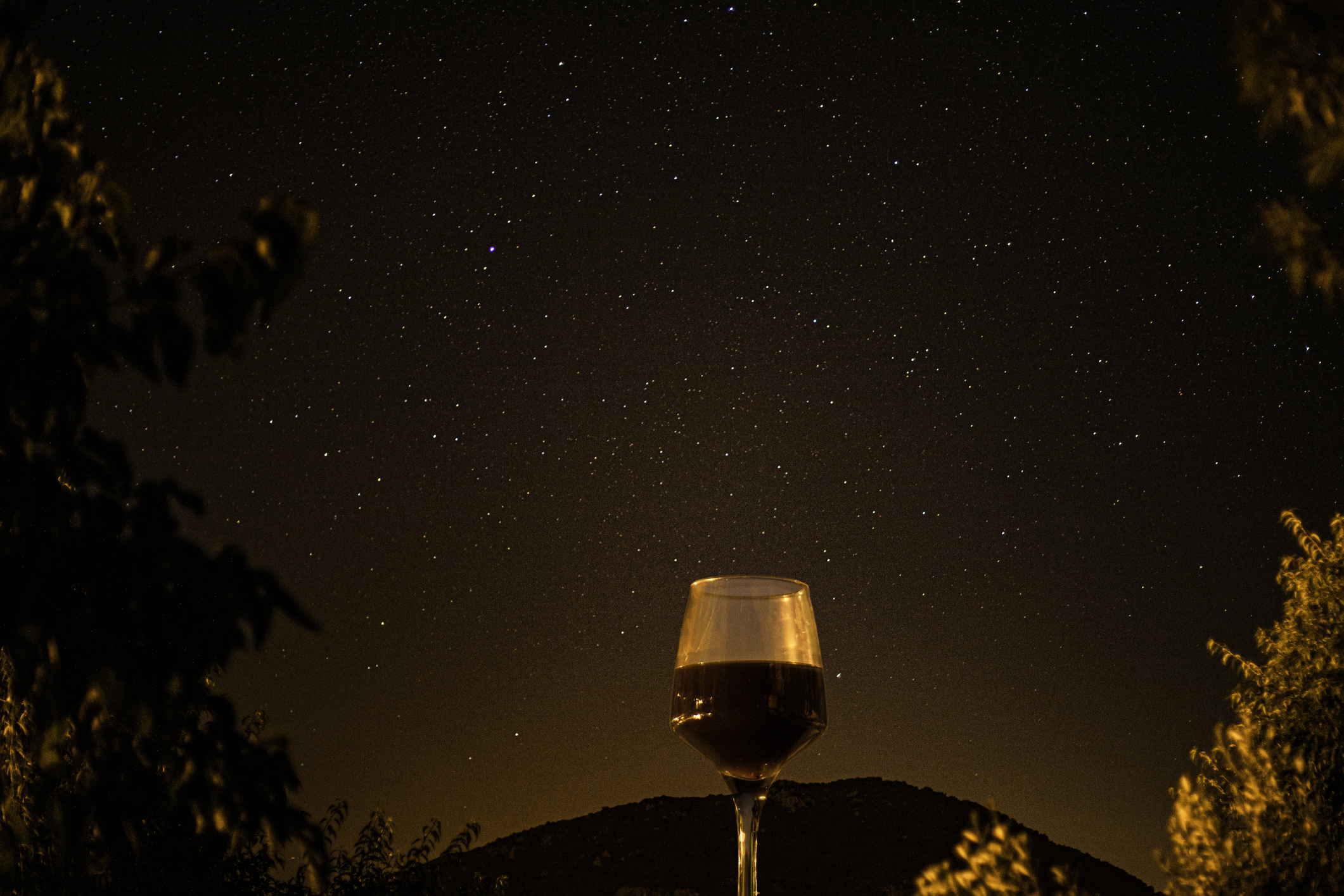 Tast de vins sota les estrelles