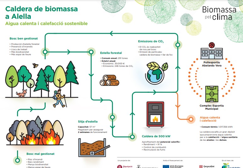 Caldera biomassa