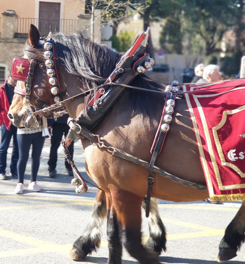 Tres Tombs 2023