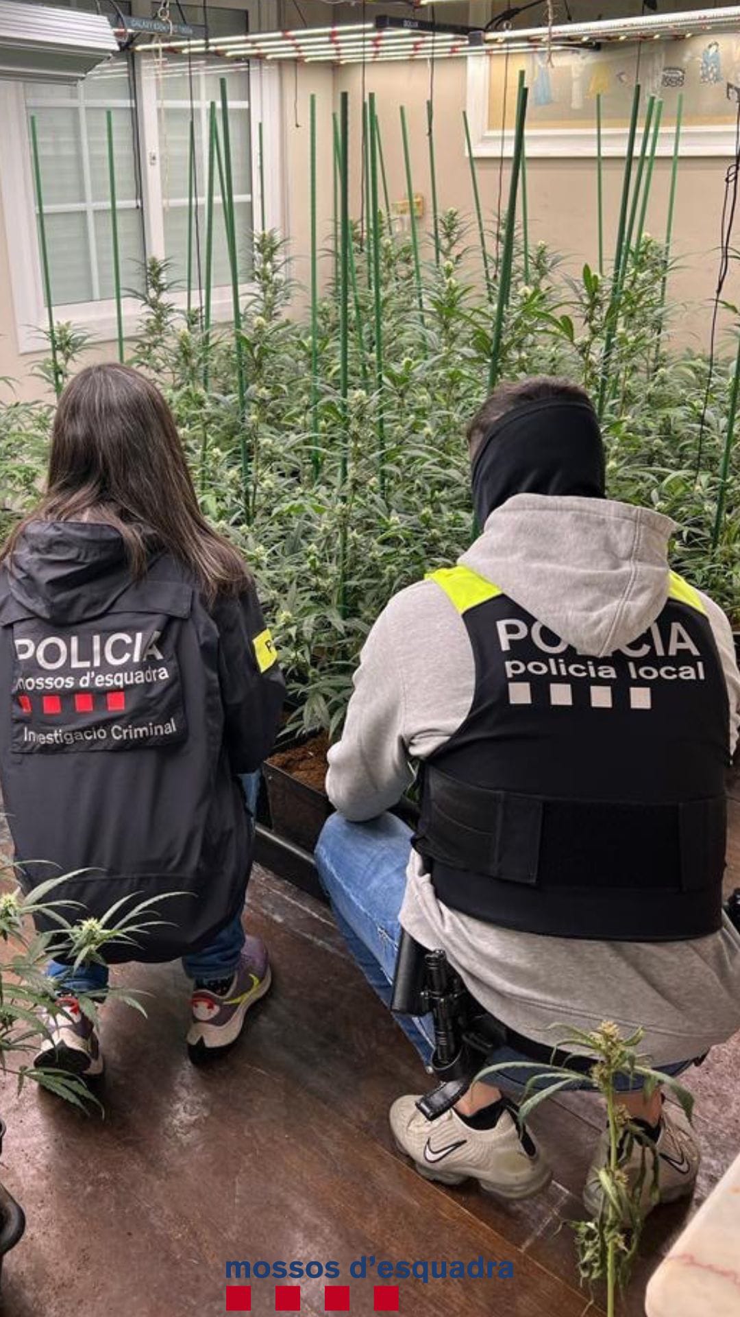 Operació mossos i policia local